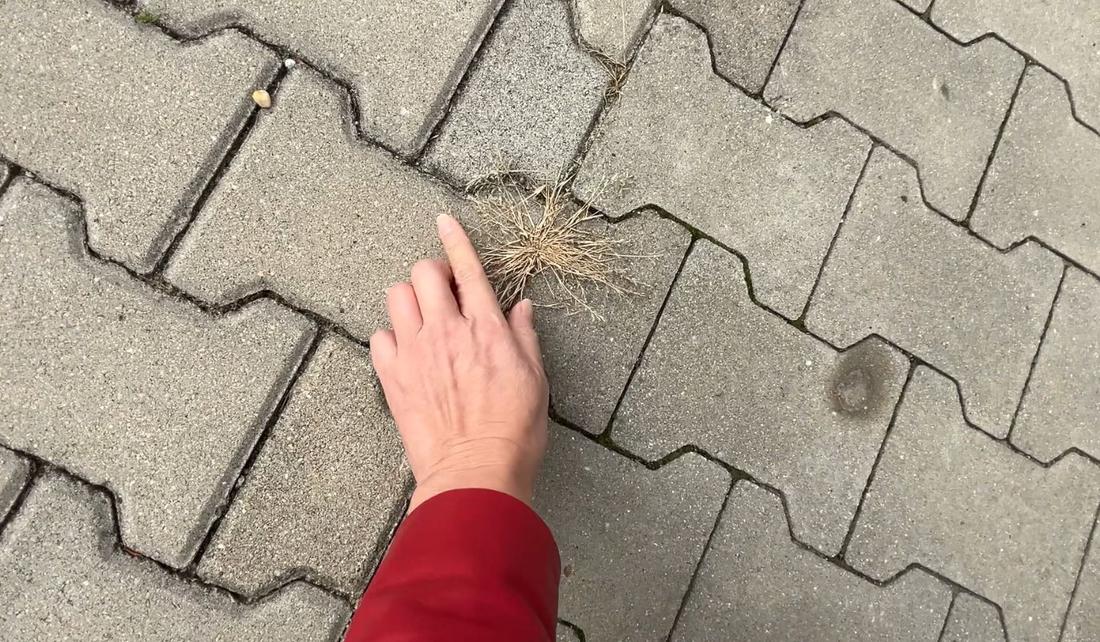 Naturalny oprysk na chwasty. Usunie je nawet z kostki