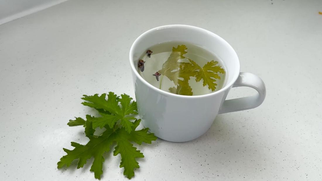 Jak zrobić herbatę z anginki? Napar z pelargonii pachnącej
