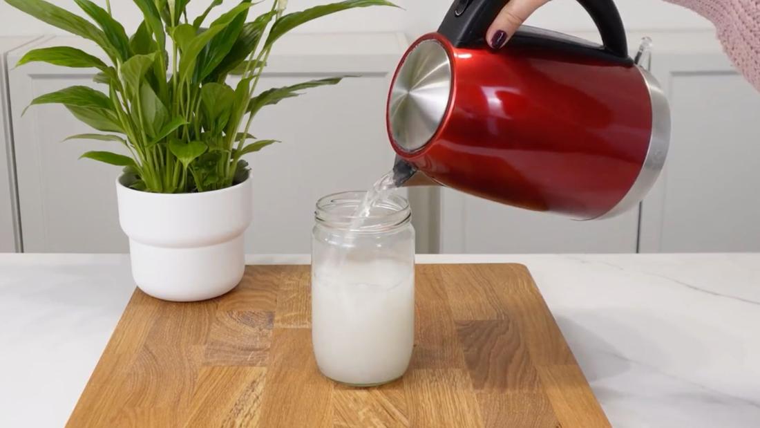 Jak dbać o skrzydłokwiaty w domu, prosty sposób na szybszy wzrost i kwitnienie